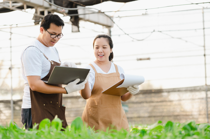 khoá đào tạo quản lý tài chính